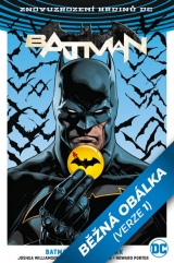 Kniha - Batman / Flash: Odznak