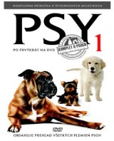 DVD Film - Psy 1