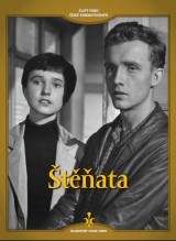 DVD Film - Štěňata (digipack)