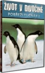 DVD Film - Život v divočine - Pobrežie tučniakov