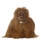 Hračka - Orangutan (28 cm)