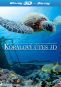 BLU-RAY Film - Korálový útes 3D/2D