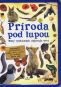Kniha - Príroda pod lupou - Malý výskumník objavuje svet