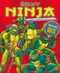 Mladé ninja korytnačky 1 - 1.séria