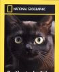 National Geographic: Zo života mačiek