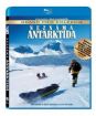 Neznáma Antarktída (Blu-ray)