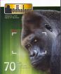 Odhalení: 70 dní s gorilami 2 DVD