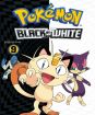 Pokémon: Black and White 14. séria, disk 9.
