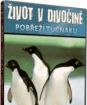 Život v divočine - Pobrežie tučniakov