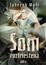 Kniha -  Som roztrieštená