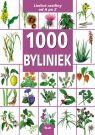 Kniha - 1000 Byliniek