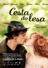 DVD Film - Cesta do lesa