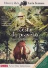 DVD Film - Cesta do pravěku