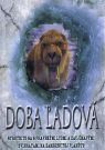 Kniha - Doba ľadová