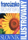 Kniha - Ilustrovaný dvojjazyčný slovník francúzsko slovenský
