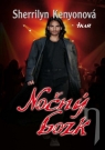 Kniha - Nočný bozk