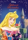 Kniha - Šípková Ruženka - Disney