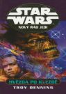 Kniha - Star Wars - Nový řád Jedi 9 - Hvězda po hvězdě