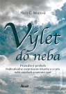 Kniha - Výlet do neba