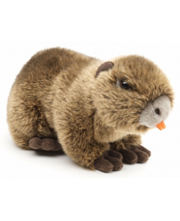 Hračka -  Plyšová nutria - Authentic Edition - 24 cm