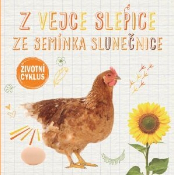 Kniha - Z vejce slepice, ze semínka slunečnice - Životní cyklus