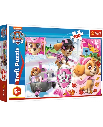 Hračka - Puzzle 100 Paw Patrol - Skye