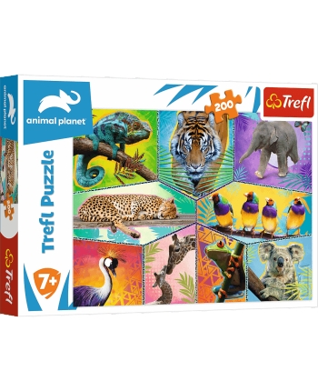 Puzzle 200 Discovery Animal Planet
