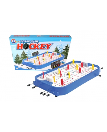 Hra hokej