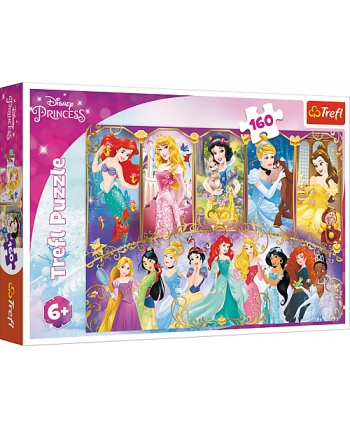 Puzzle 160 Princess