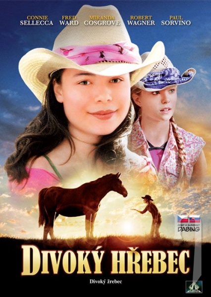 DVD Film - Divoký hřebec