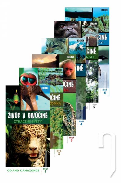 DVD Film - DVD sada: Život v divočine (6 DVD)
