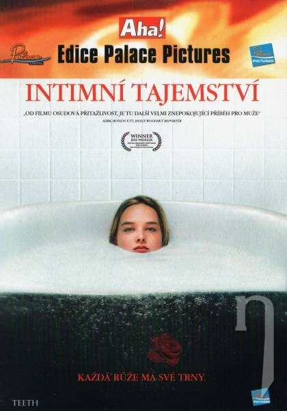 DVD Film - Intímne tajomstvo (papierový obal) CO