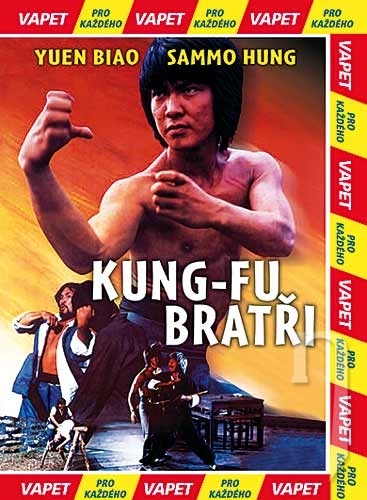 DVD Film - Kung-fu bratia