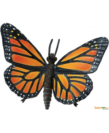  Motýl Monarcha Stěhovavý v plastovém obalu 12x10 cm