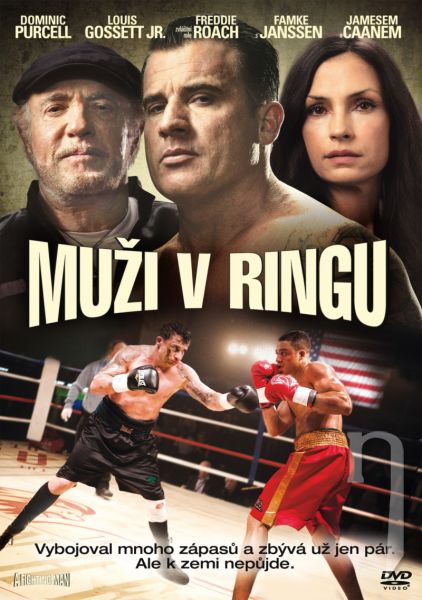 DVD Film - Muži v ringu