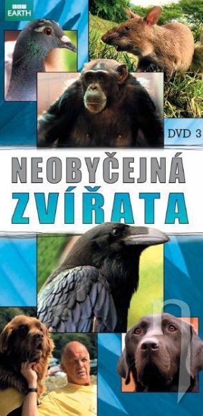 DVD Film - Neobyčajné zvieratá 3 (papierový obal)