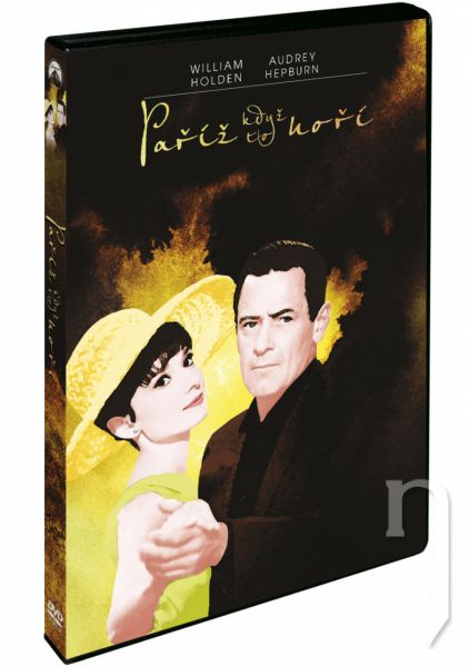 DVD Film - Paříž, když to hoří