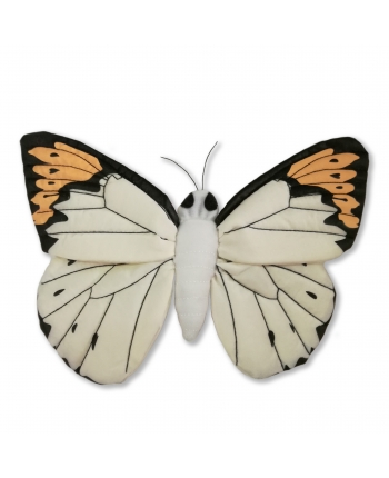 Plyšový motýľ Meganostoma eurydice (20 cm) - National Geographic