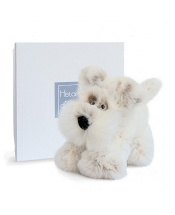 Plyšový psík Softy  v škatuľke - Histoire D´Ours (25 cm)