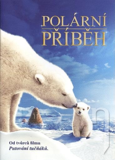 DVD Film - Polárny príbeh