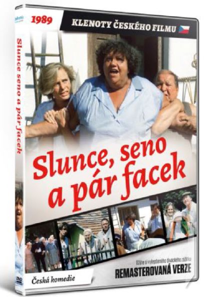 DVD Film - Slunce, seno a pár facek - remastrovaná verzia
