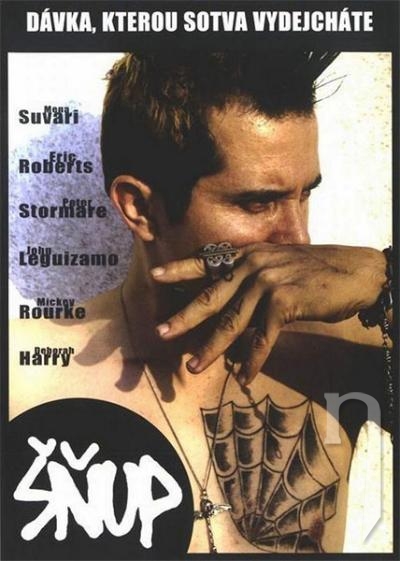 DVD Film - Šňup