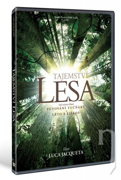 DVD Film - Tajomstvo lesa