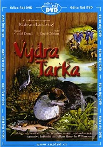 DVD Film - Vydra Tarka (papierový obal)
