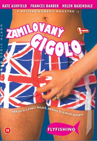 DVD Film - Zamilovaný gigolo