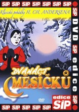 DVD Film - 12 mesiačikov