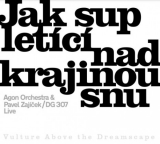 CD - Agon Orchestra & Pavel Zajíček : Jak sup letící nad krajinou snu