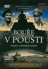 DVD Film - Bouře v poušti (papierový obal) CO