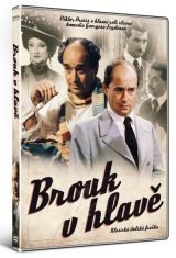 DVD Film - Chrobák v hlavě