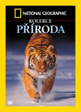 DVD Film - Kolekcia: Príroda National Geographic  (4 DVD)